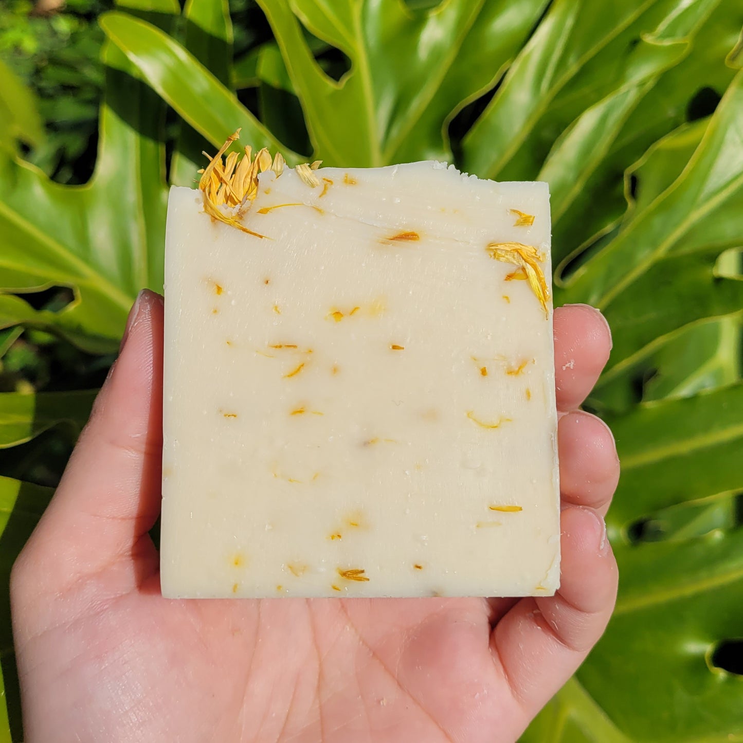 White Jasmine & Pineapple Soap Bar