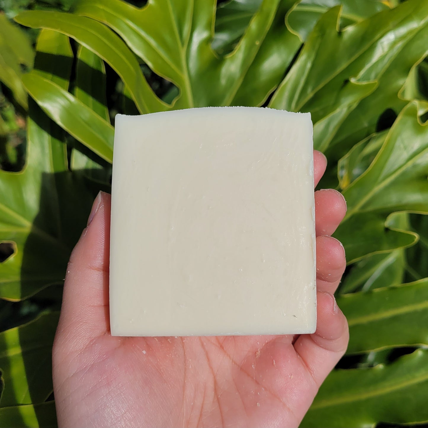 Fragrance-Free Soap Bar