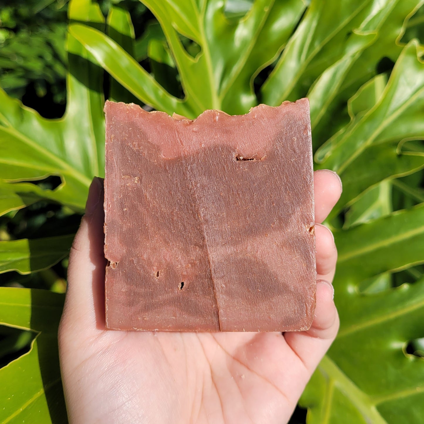 Pink Shores Soap Bar