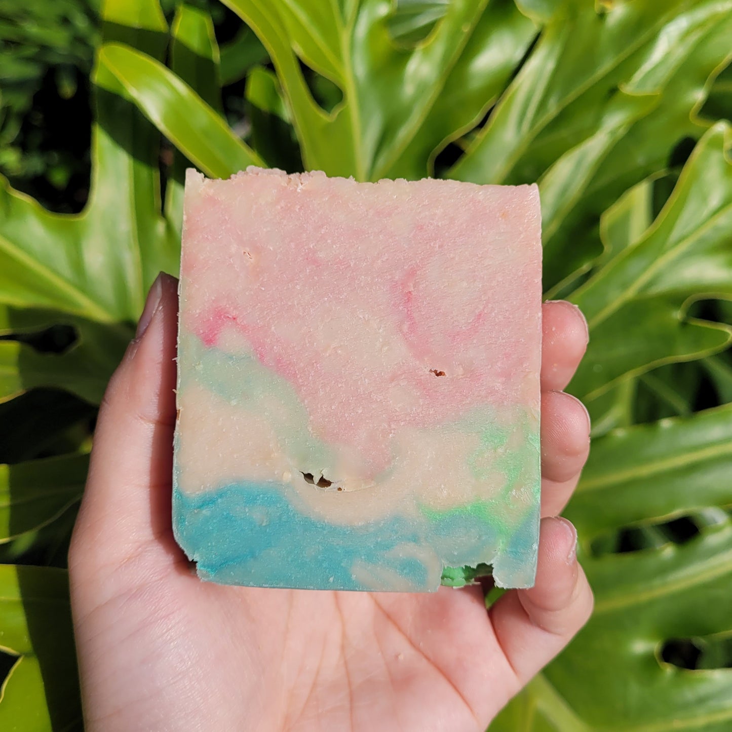 Watermelon Sugar Soap Bar