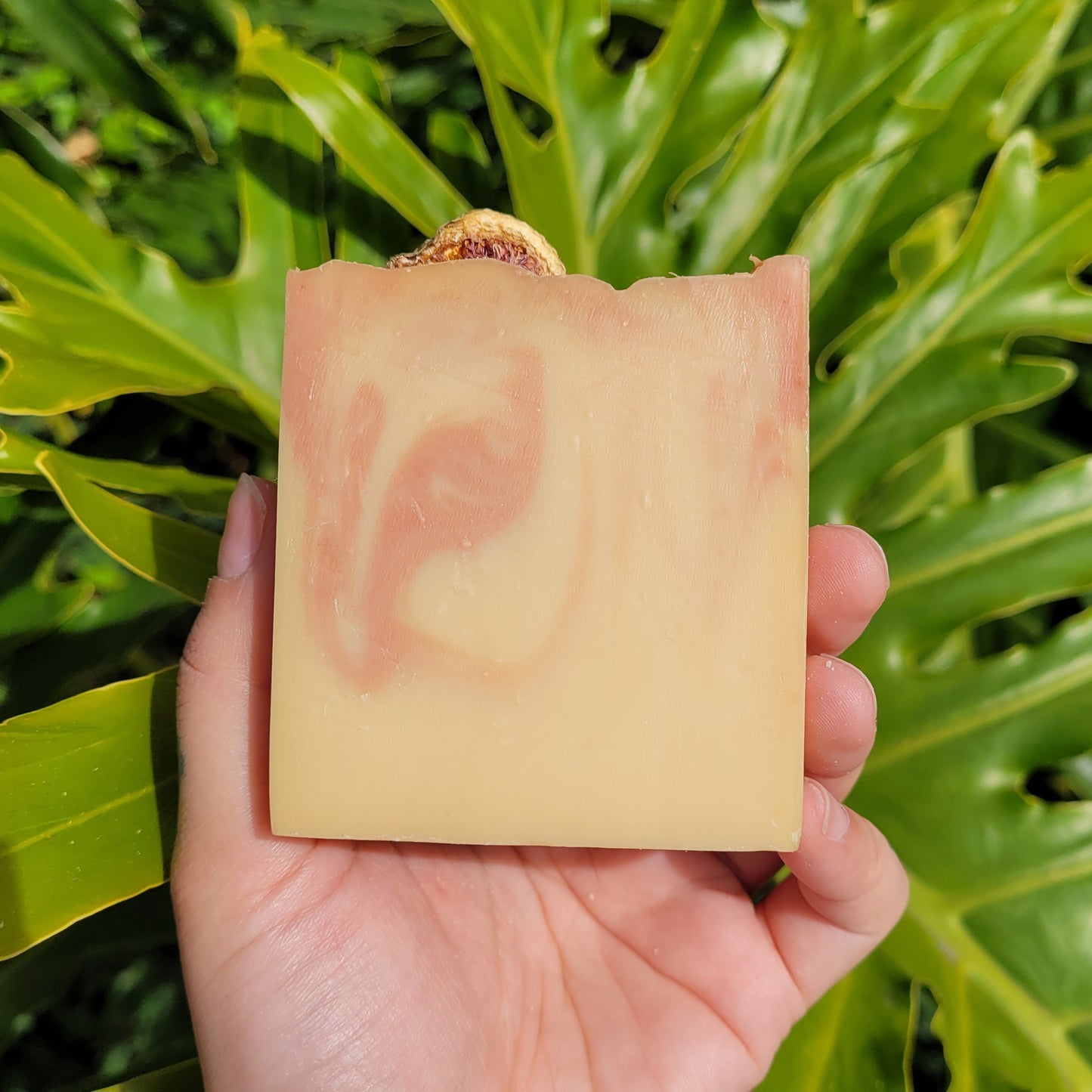 Wild Cherry & Fig Soap Bar
