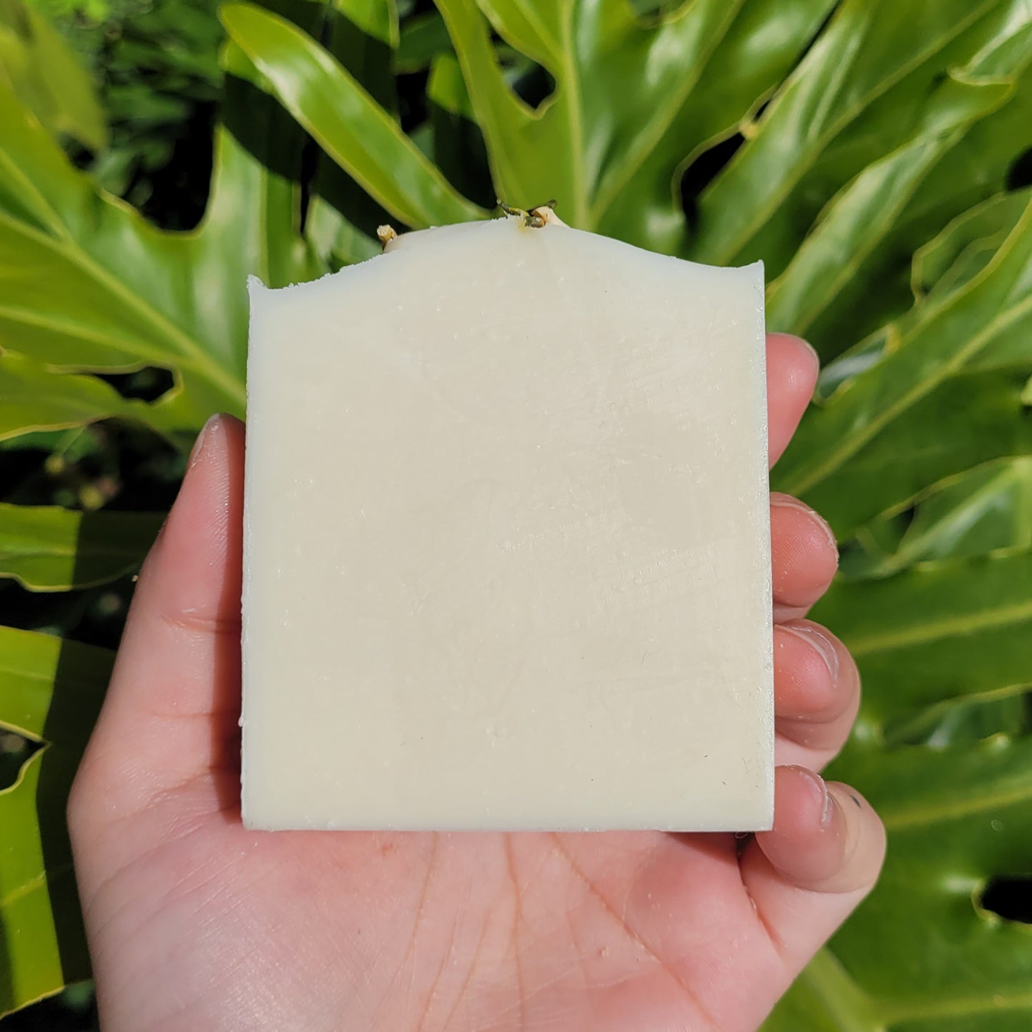 White Tea Soap Bar