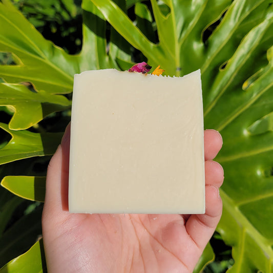 Spa Day Soap Bar