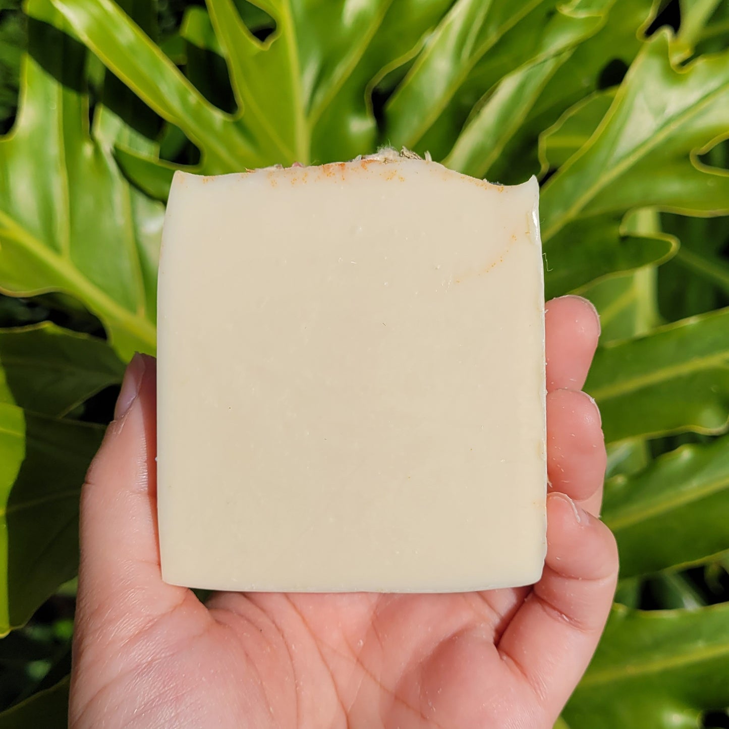 Vacay Glow Soap Bar